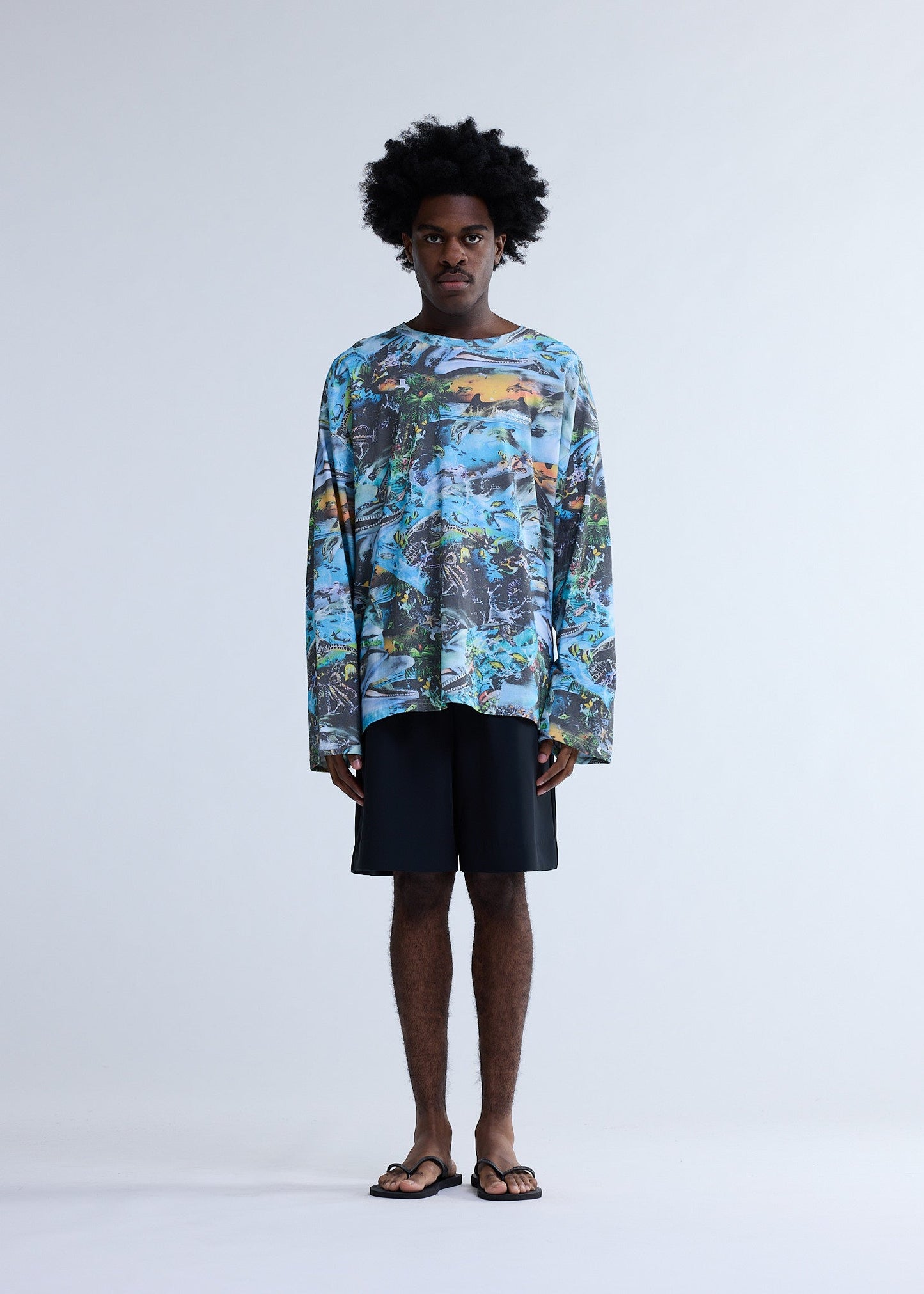 DOLPHIN LONGSLEEVE AOP | AOP