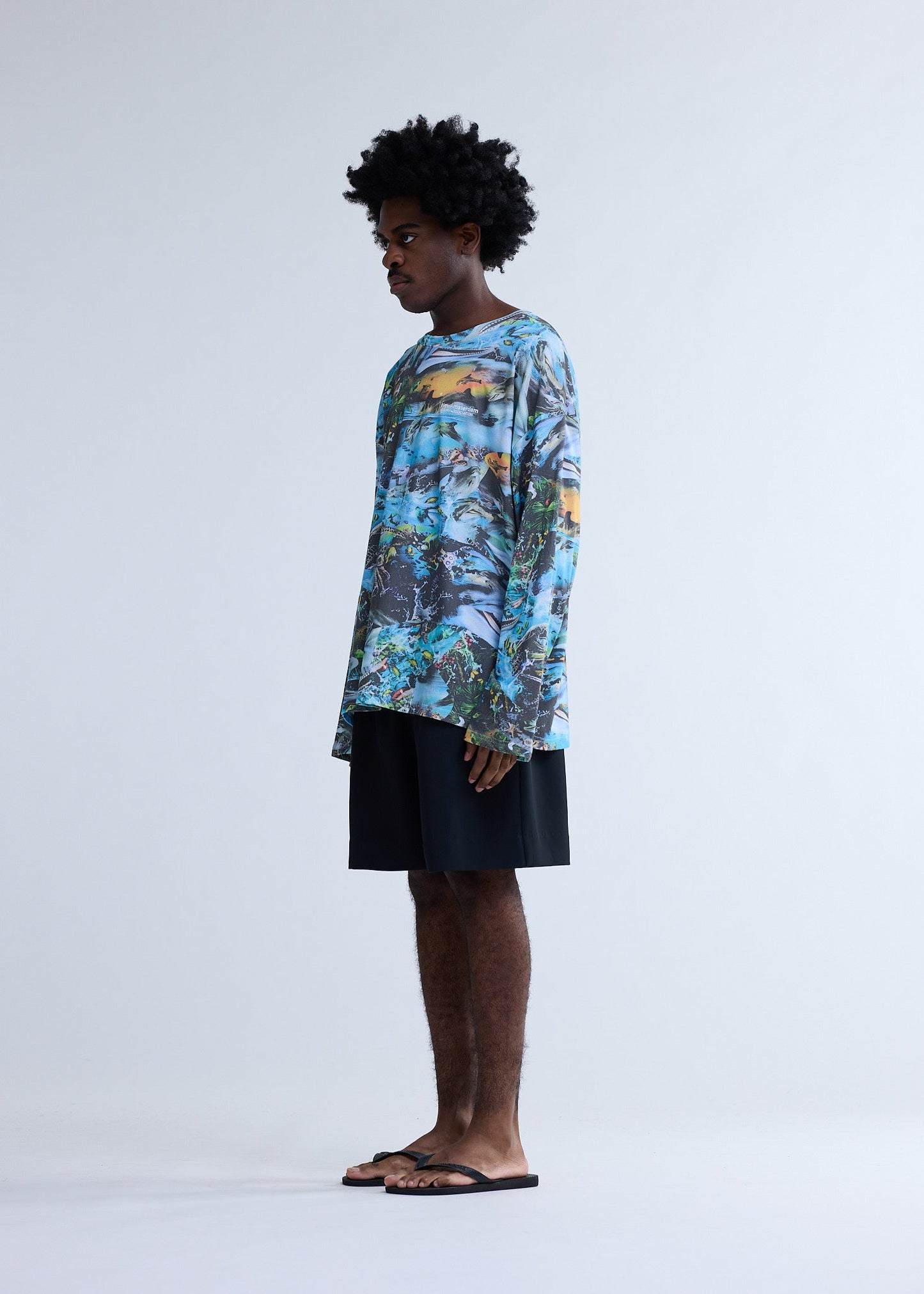 DOLPHIN LONGSLEEVE AOP | AOP
