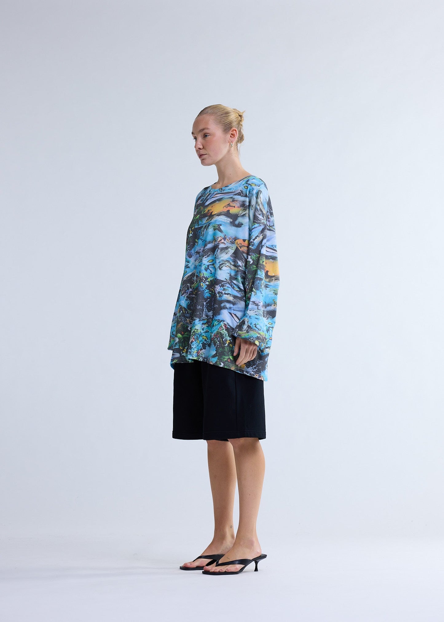 DOLPHIN LONGSLEEVE AOP | AOP