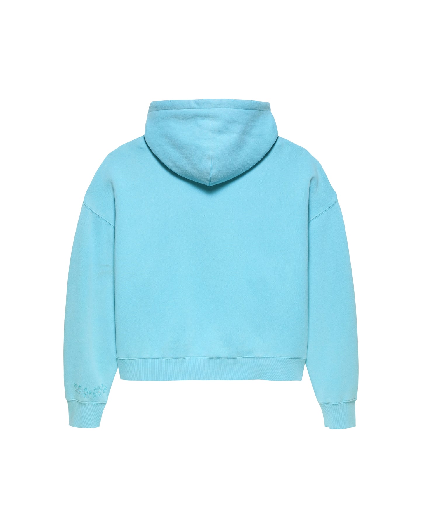 WORKED LOGO HOODIE | Pool